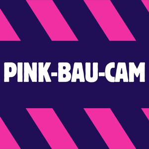 Pink-Bau-Cam Logo